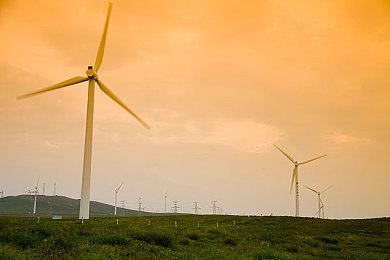 春风又绿江南岸：破局与成长中的中国单机游戏市场